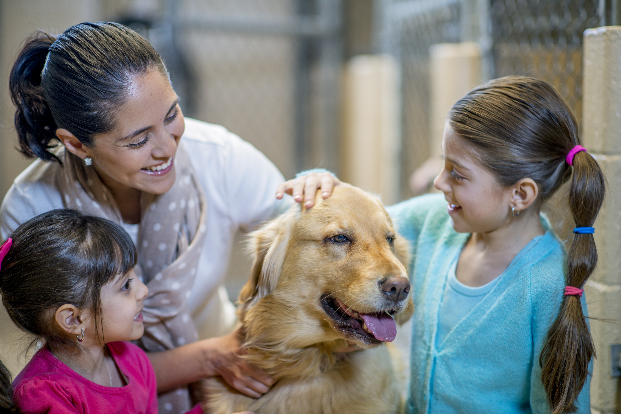 home visits for dog adoptions